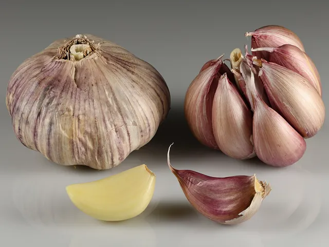 Whole garlic bulbs and separated cloves.